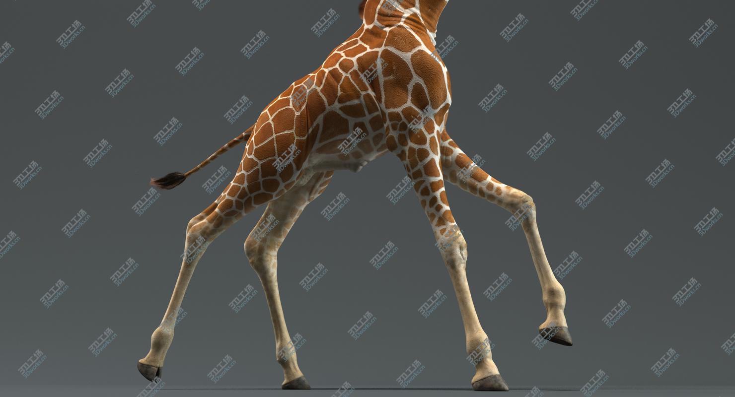 images/goods_img/202105074/Giraffe (Animated) 3D model/4.jpg
